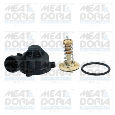 Thermostat, coolant